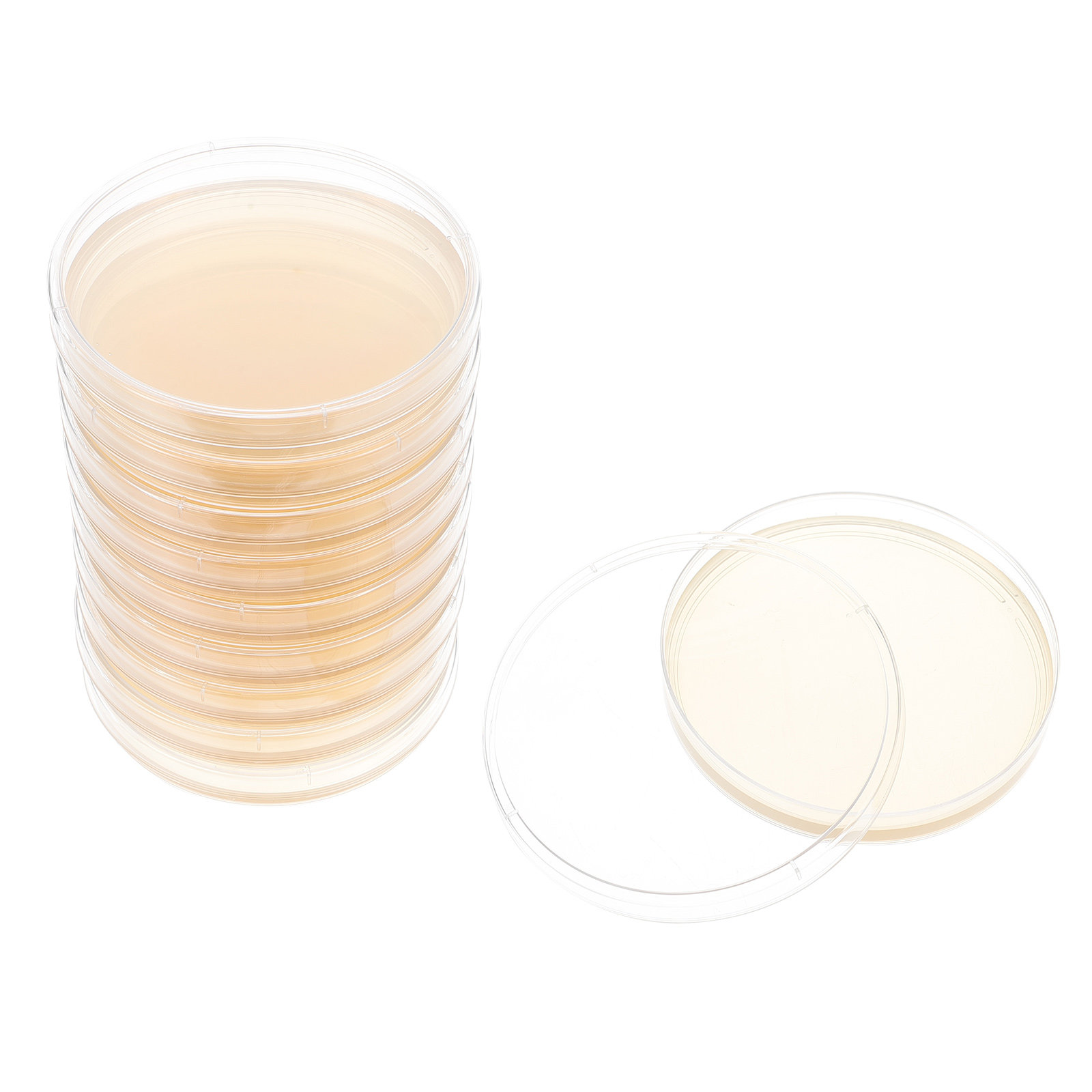Science Project - 10pcs Nutrient Agar Plates Pre-Poured Ready