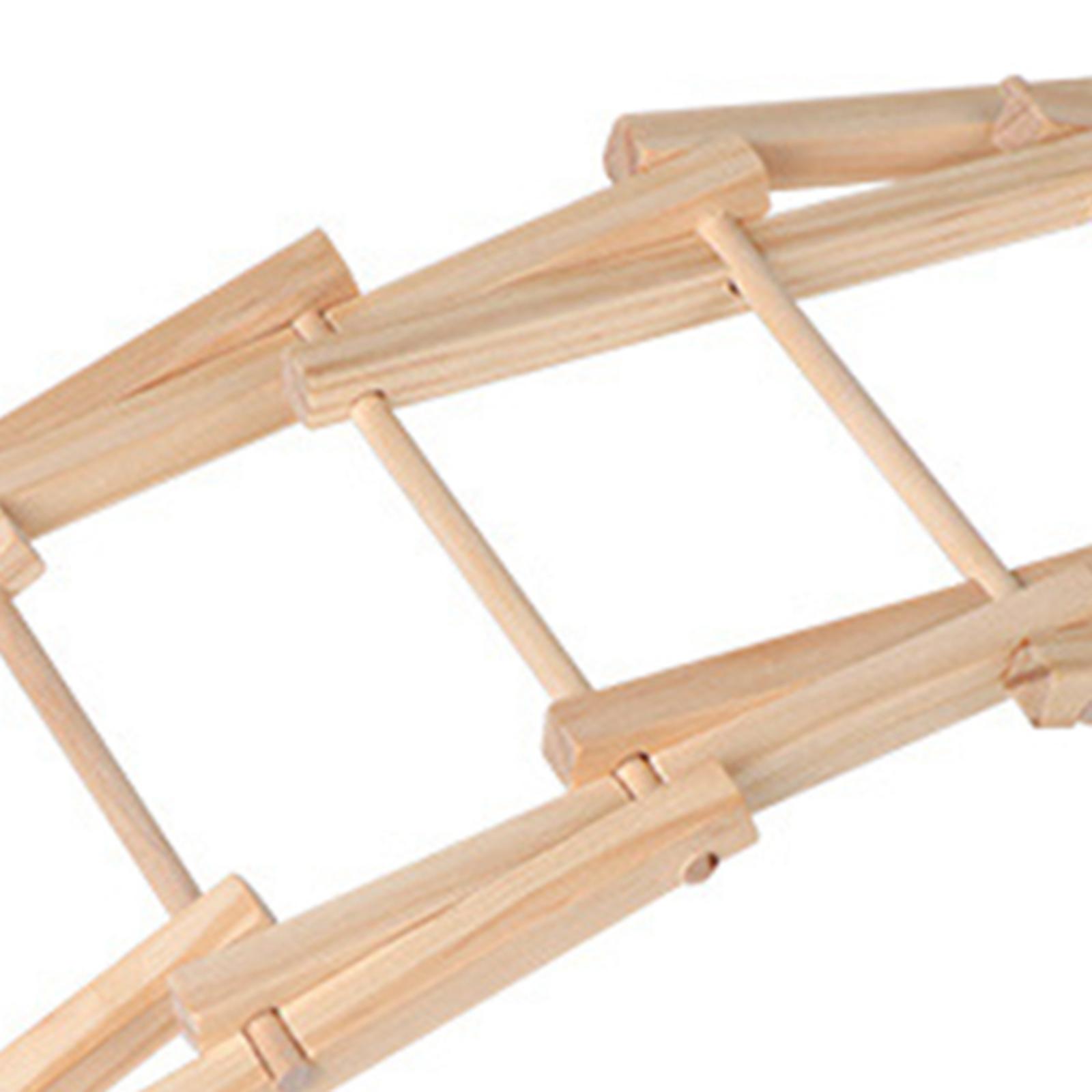 Science Project Physics - Wood Science Model Bridge (assembly Required)