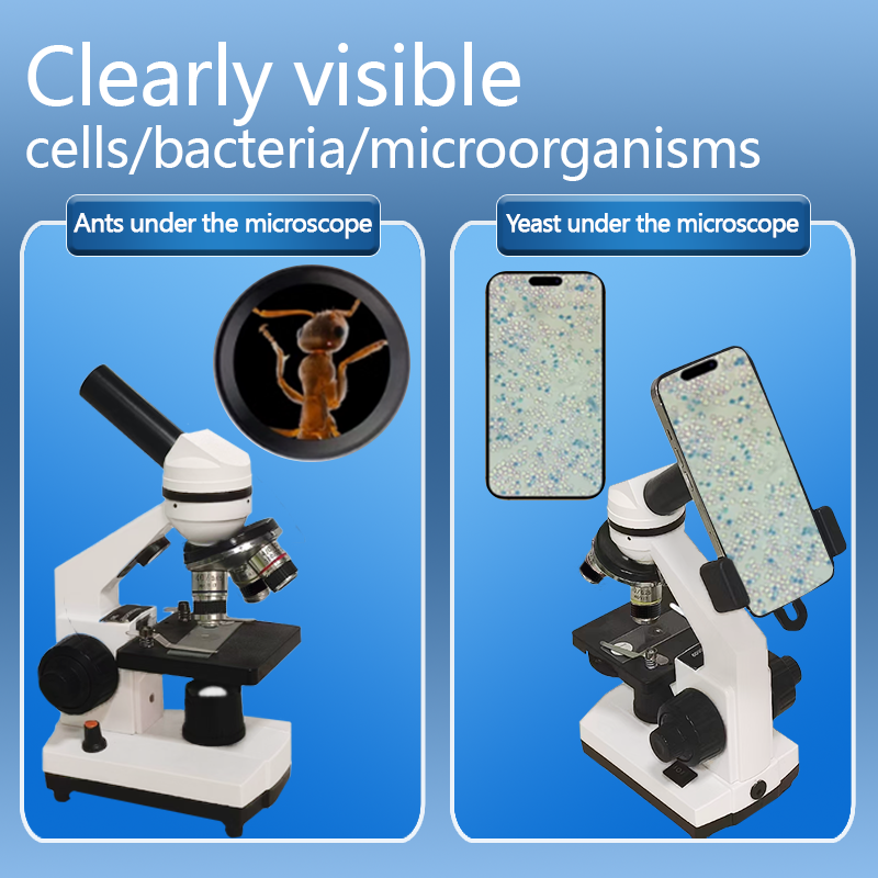 Portable Biological Optical Co - огляд і ціна Microscope Compound 40X
