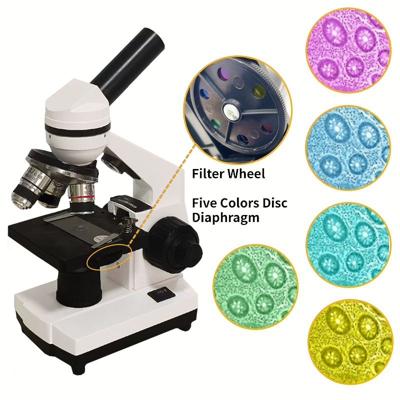 Portable Biological Optical Co - огляд і ціна Microscope Compound 40X
