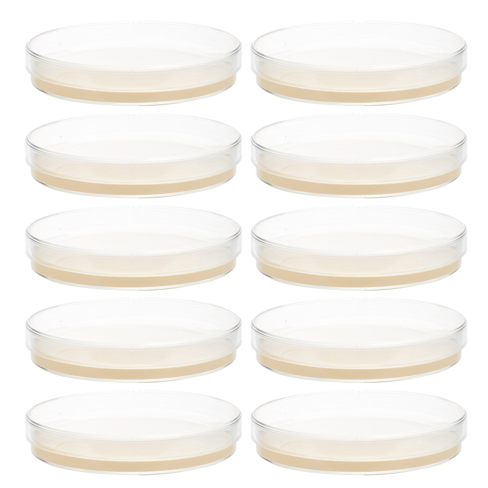 10pcs Nutrient Agar Plates Pre - огляд і ціна Science Project