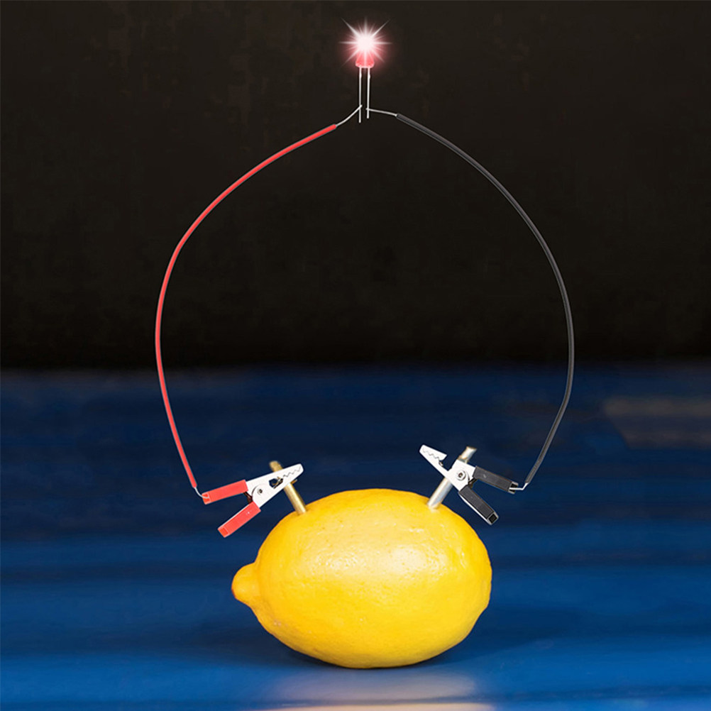 1Set Fruit Battery Science Exp - огляд і ціна Science Project Physics