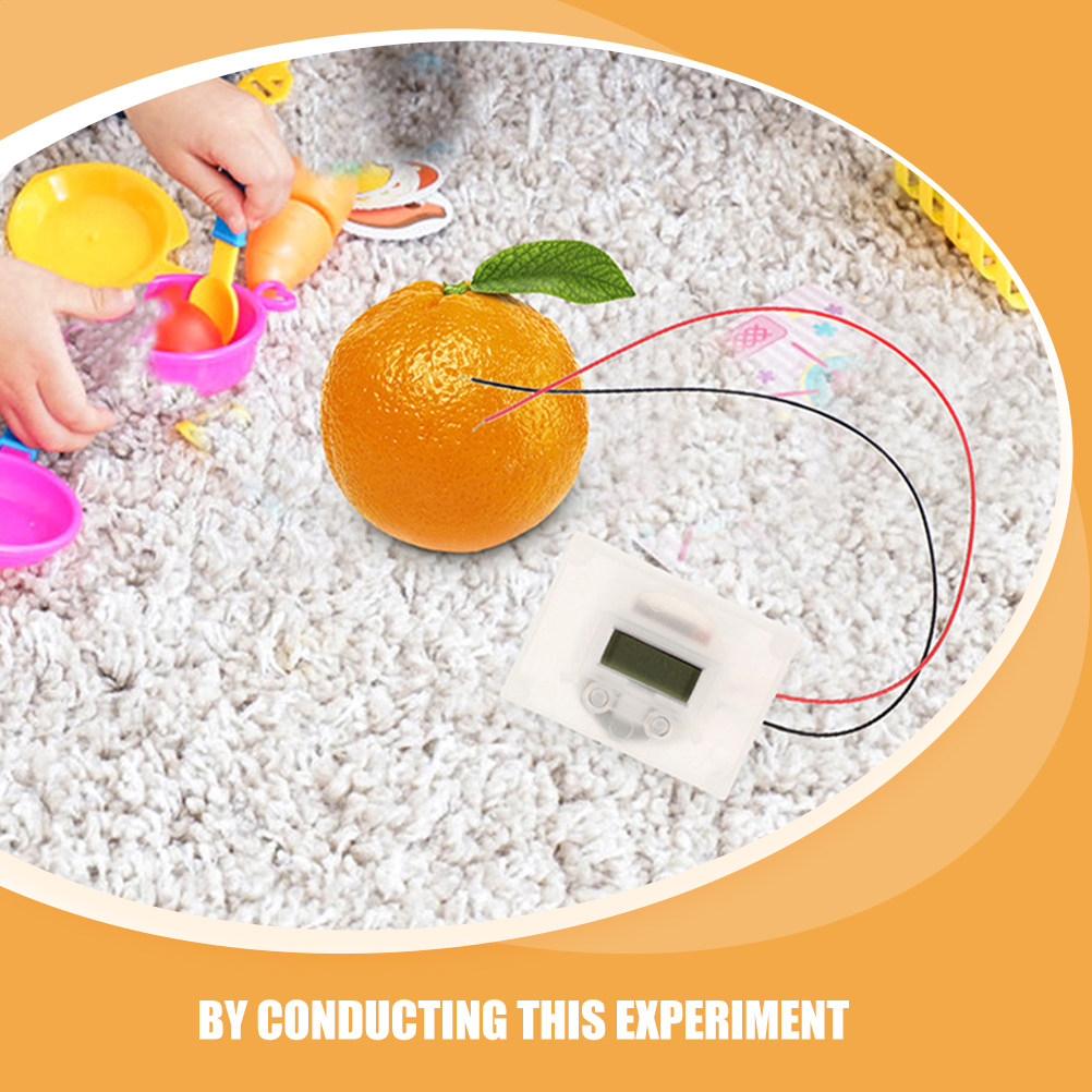 1Set Fruit Battery Science Exp - огляд і ціна Science Project Physics