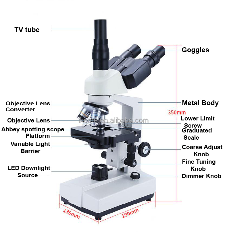 Professional binocular compoun - огляд і ціна Microscope Compound 40X