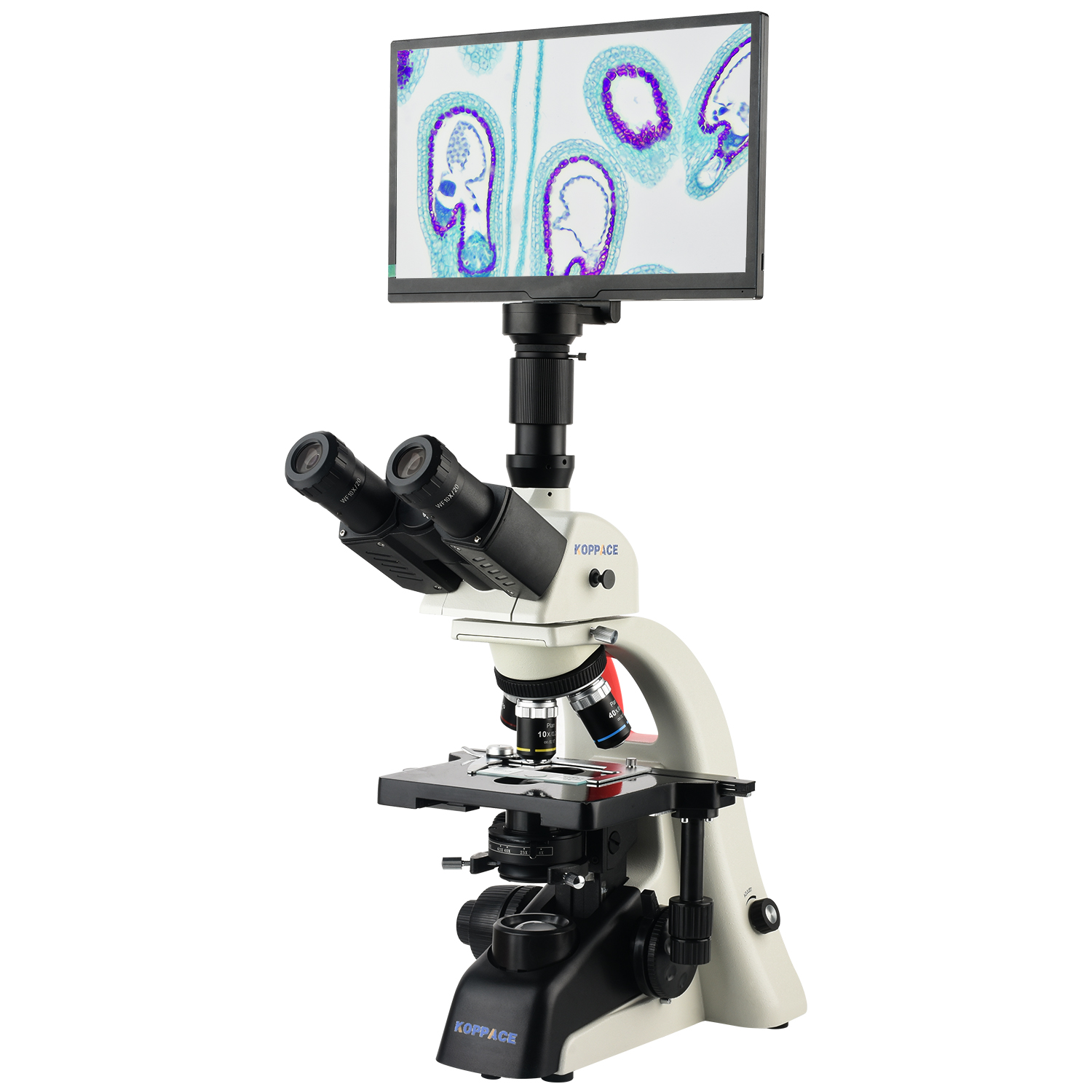KOPPACE 40X-1600X Electron Com - огляд і ціна Microscope Compound 40X
