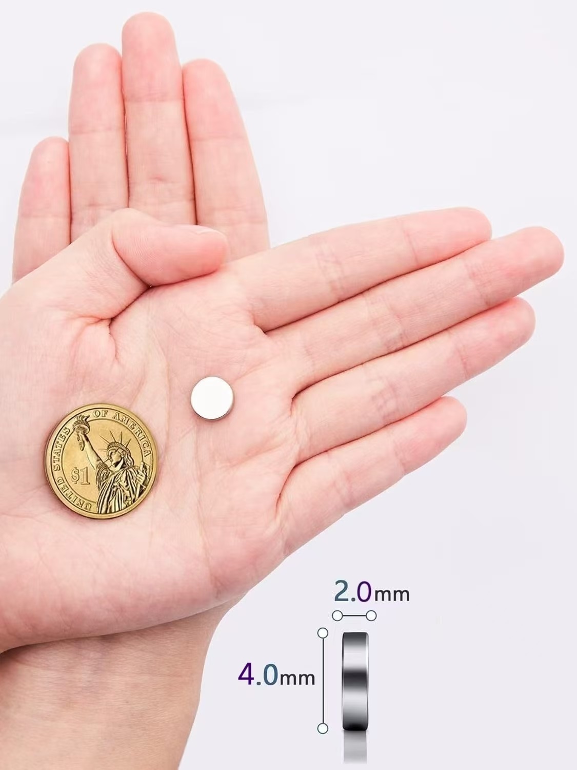 Strong Round Magnets for Fridg - огляд і ціна Science Project